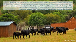 Hillingdon Ranch book endorsement by Nolan Ryan