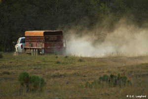 Spring Drought on Hillingdon Ranch - a dusty haul