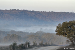 Winter on Hillingon Ranch - Giles Ranch Road at dawn