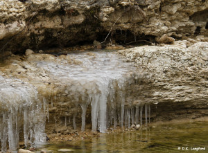 Winter on Hillingon Ranch - When springs freeze, it's cold!