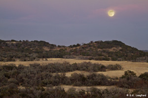 Winter on Hillingon Ranch - winter solstice moonrise